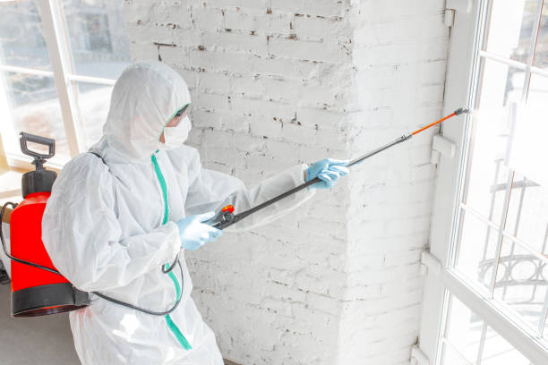 Best Mold Remediation for Rental Properties  in Corte Madera, CA