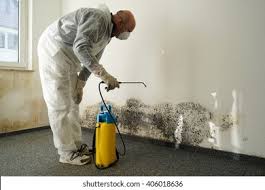 Best Forensic Mold Investigation  in Corte Madera, CA